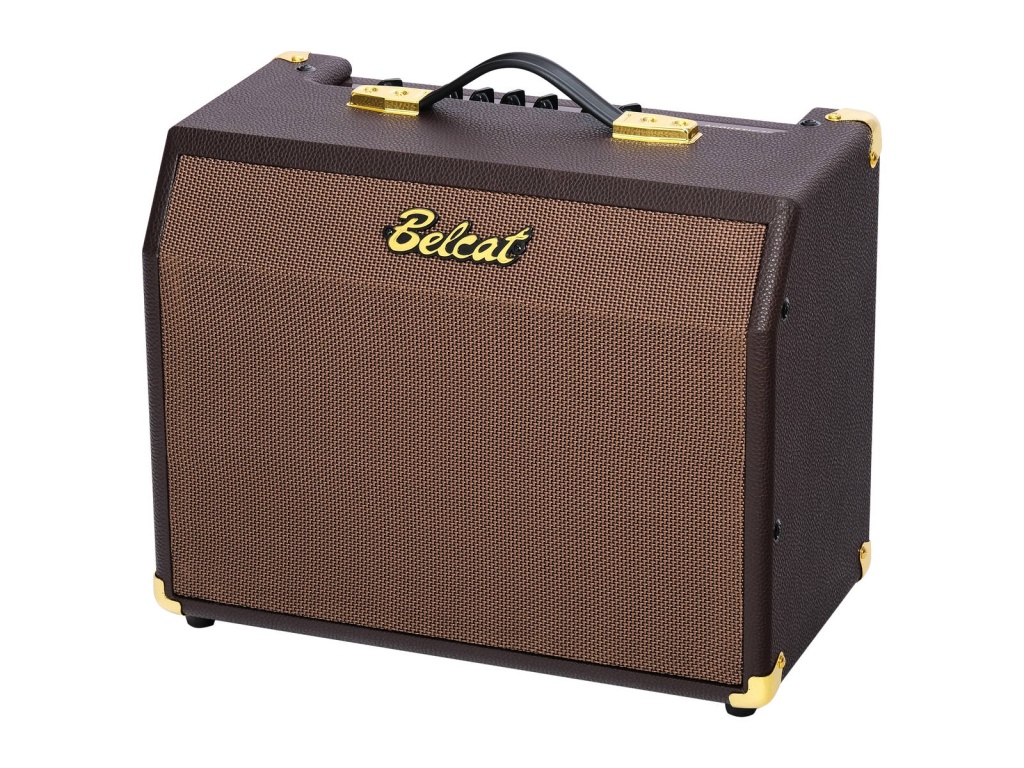 Belcat Acoustic-25RC