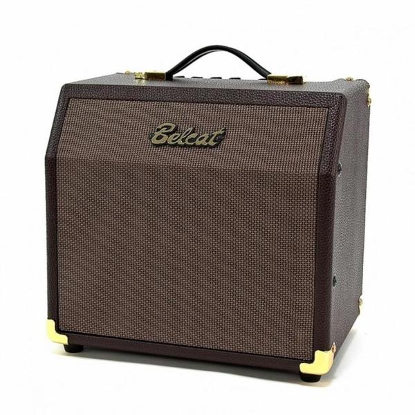 Belcat Acoustic-15C